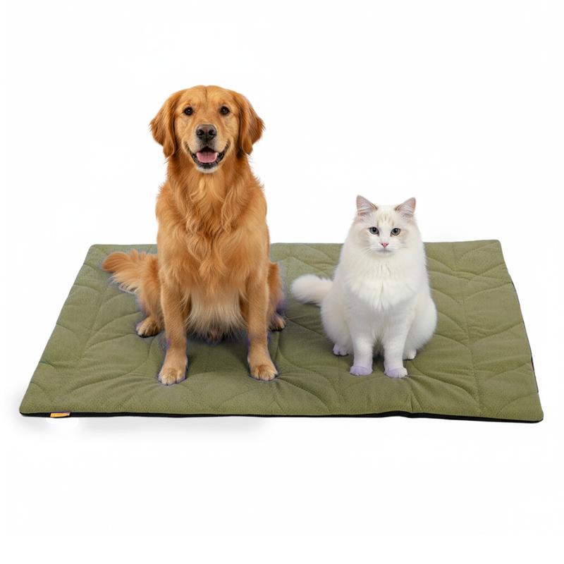 Saraviel Heated Pet Pad